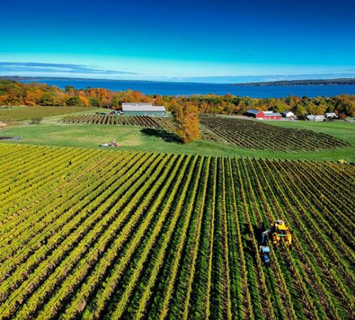 Aerial view of Sheldrake Point Winery